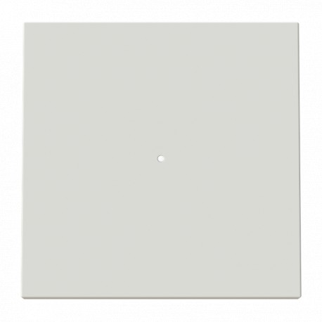 NIESSEN 2CLA880130A6201 2CLA880130A6201 8801.3 DN NIESSEN Switch key c/DN viewer